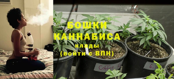 PSILOCYBIN Богородск