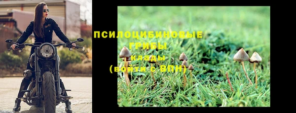 марки lsd Беломорск