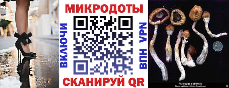 купить сайты Гороховец mega tor Галлюциногенные грибы прущие грибы