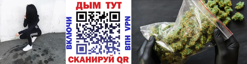 Конопля планчик  Гороховец 